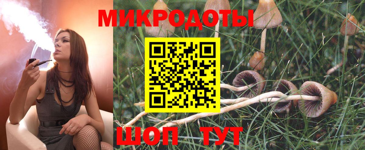 Серпухов  Псилоцибиновые грибы Psilocybe  Вход с VPN  Галлюциногенные грибы мицелий 
